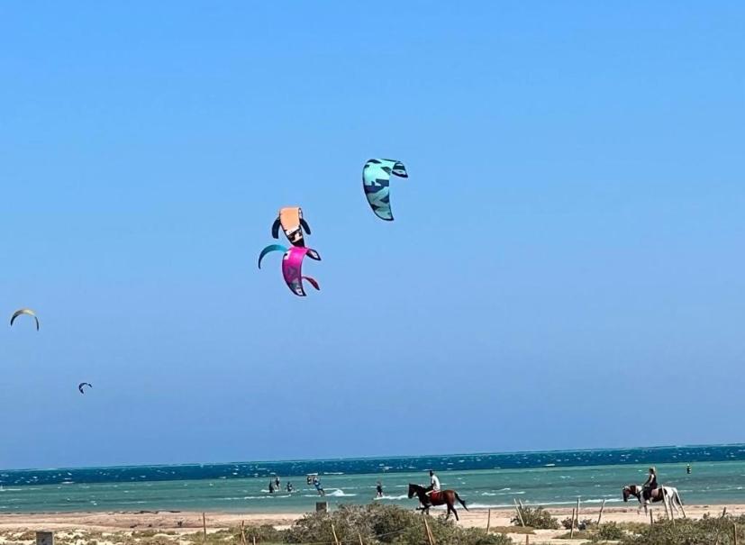 a group of people riding horses on the beach at Mangroovy Gouna 1 BR apartment in Hurghada