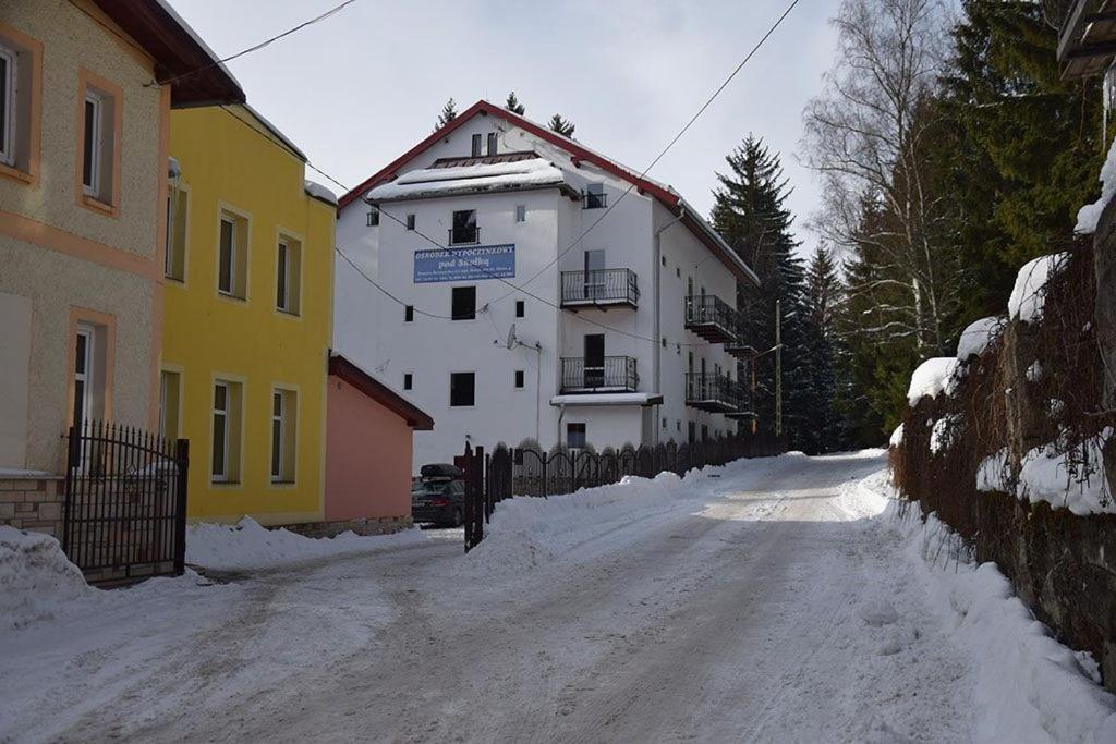 シュチトナにあるOśrodek Wypoczynkowy Pod Skałkąの雪道に建つ建物と雪に覆われた通り