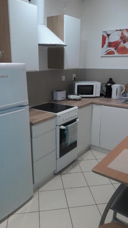 Kuchyňa alebo kuchynka v ubytovaní Apart. Grabiszyńska - parking included