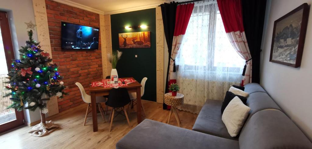 Apartamenty U Paliderki - 8