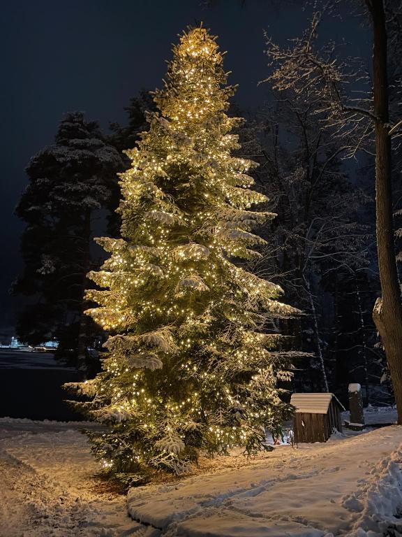 Am Herrensee during the winter
