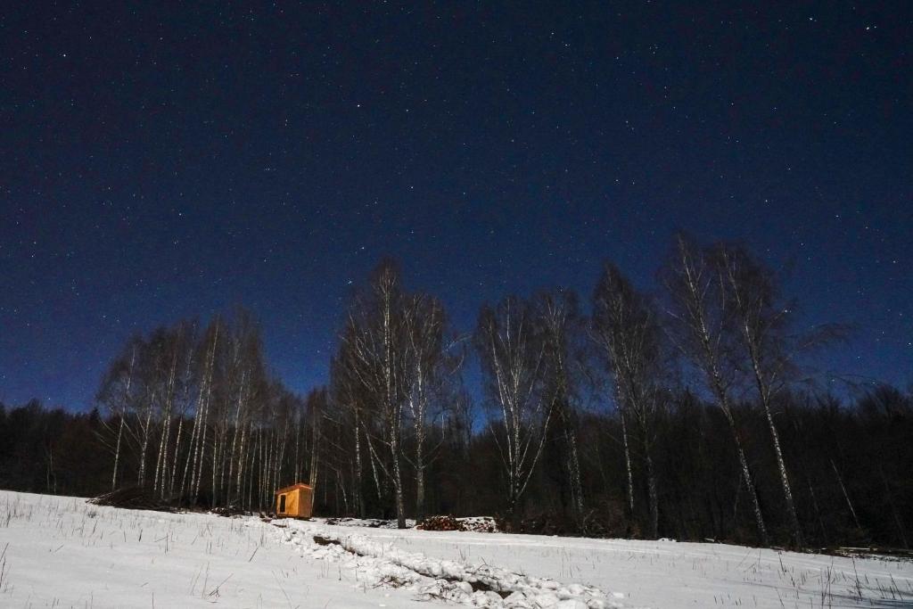 Dobrica Hunting Lodge iarna