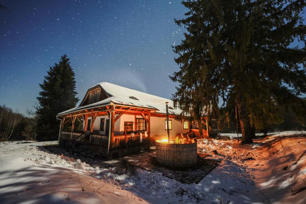Dobrica Hunting Lodge iarna