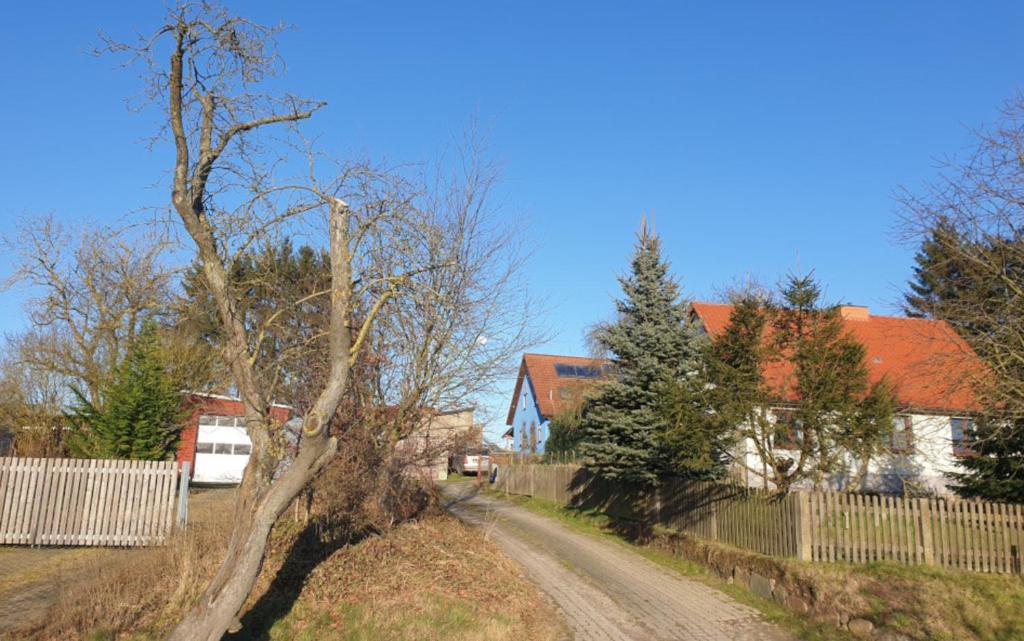 a tree on a dirt road next to a fence at Blaues Haus-Urlaub mit Alpakas oder nur eine schöne Unterkunft in der schaalseergion 