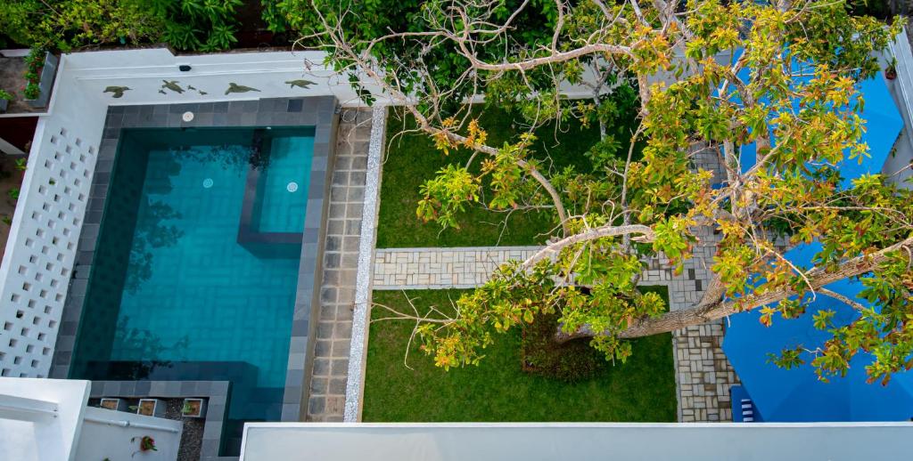 Bazén v ubytování The Residence Hikkaduwa nebo v jeho okolí