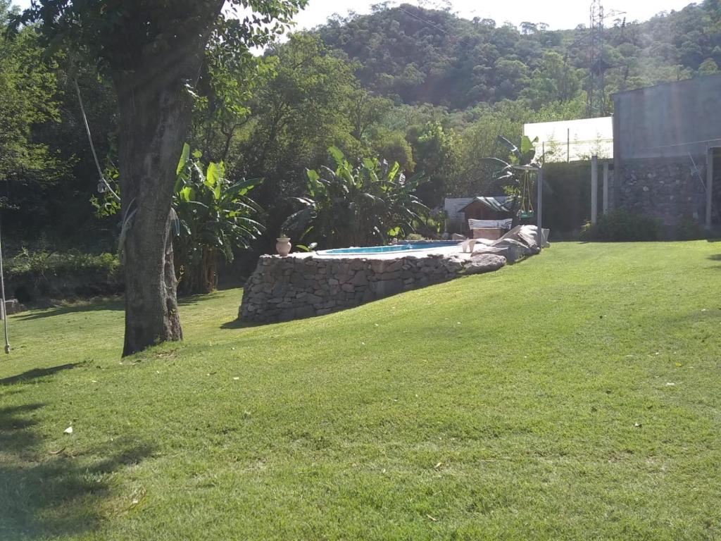 un patio con piscina y un árbol en Rincón de la selva en La Calera