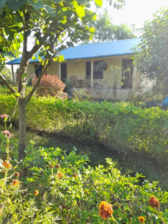 une maison avec un jardin en face dans l'établissement Good Karma Homestay, à Bhurkīā