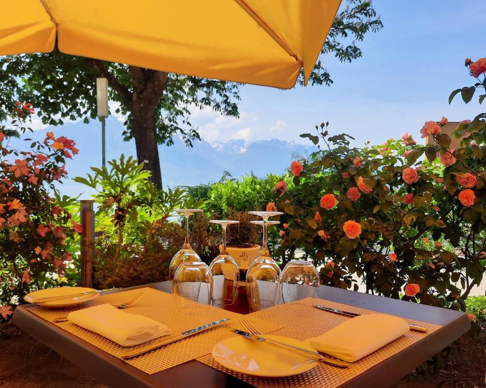 Zahrada ubytování Royal Plaza Montreux
