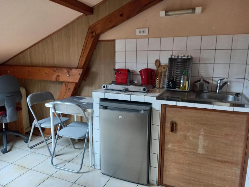 Les appartements du Lion de Belfort - 一居室公寓
