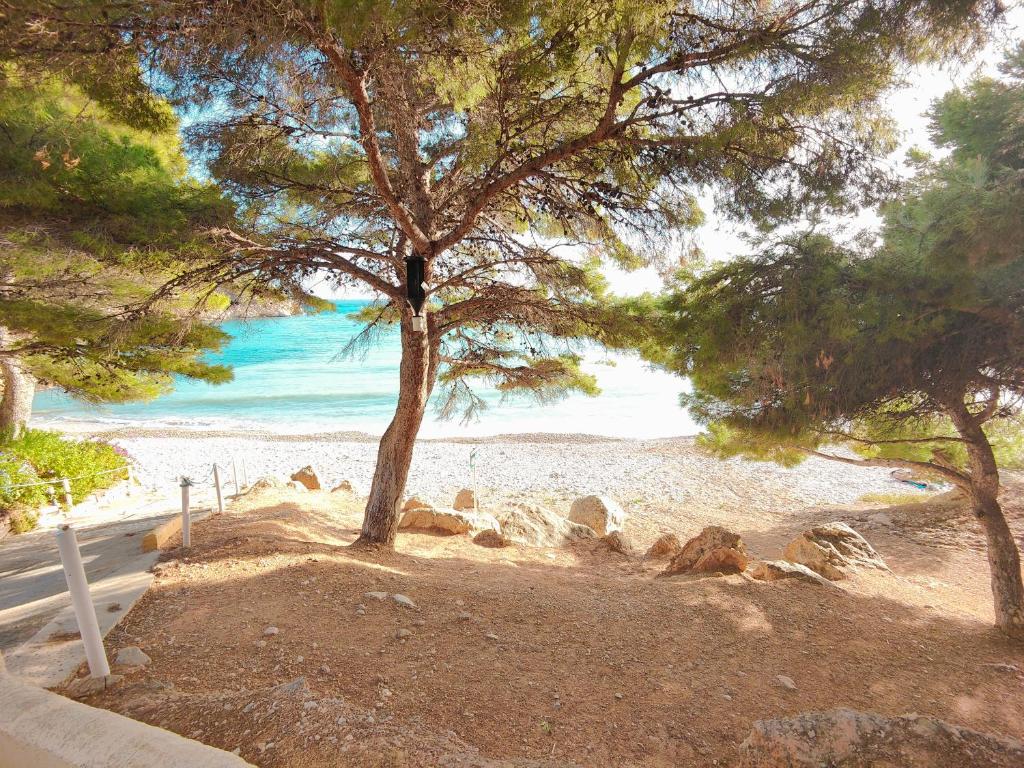 a view of a beach with trees and the ocean at Luxury Apartments Mascarat in Altea