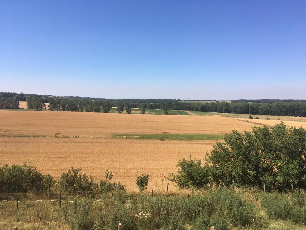 Příroda nedaleko apartmánu