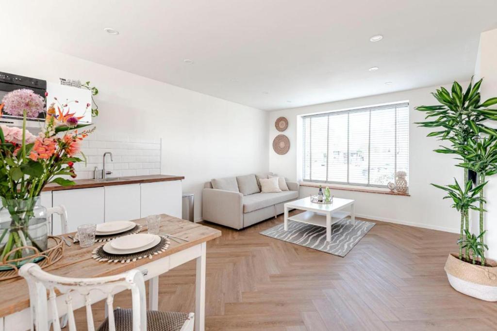 Windhoek Apartment - One-Bedroom Apartment