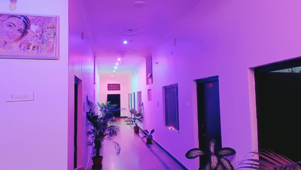 a purple hallway with plants in a room at The Mountain View Home Stay in Khajurāho