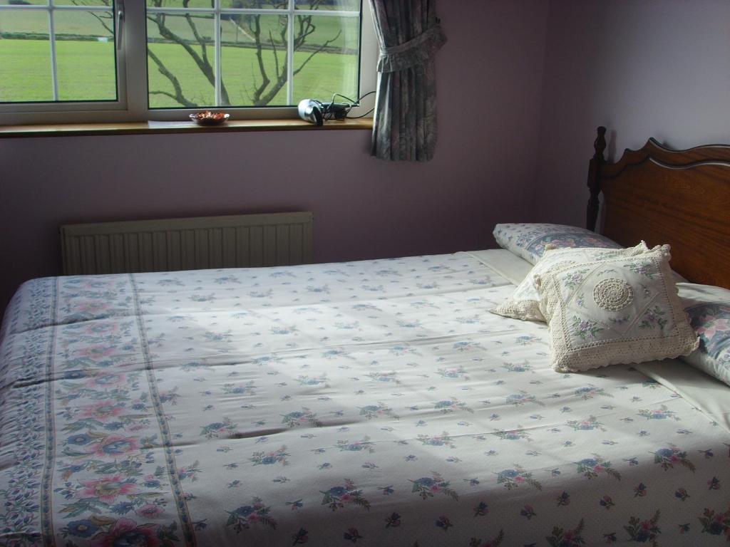 Postel nebo postele na pokoji v ubytování Springfield House B&B
