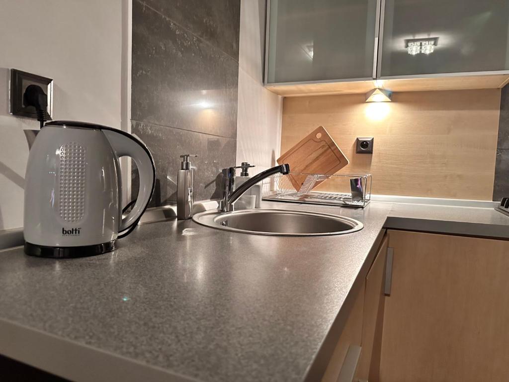 Kuchyň nebo kuchyňský kout v ubytování Be Inn - Luxury Apartment Gliwice