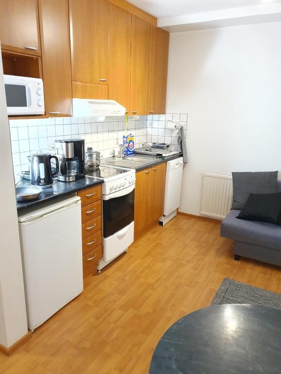 Edullinen majoitus Ähtärissä! - Appartement Met één Slaapkamer