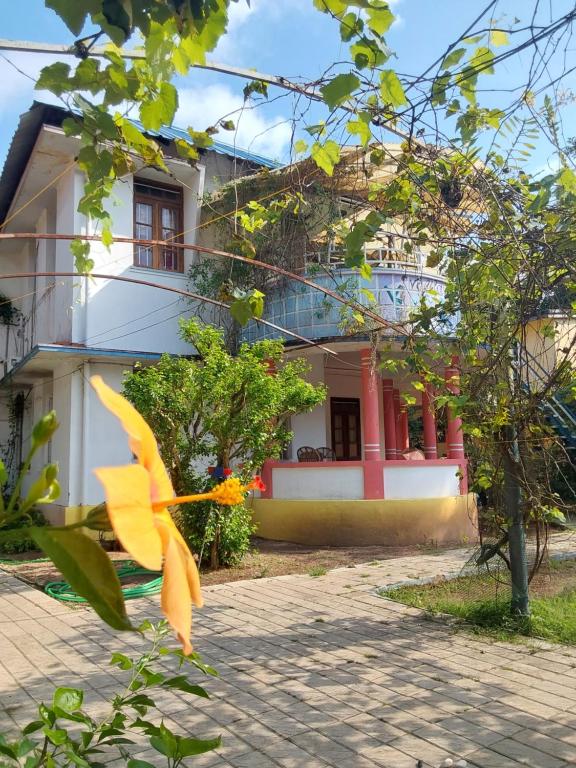 une maison avec une fleur jaune devant elle dans l'établissement Johnson's Homestay - Ecohouseboat, à Alappuzha