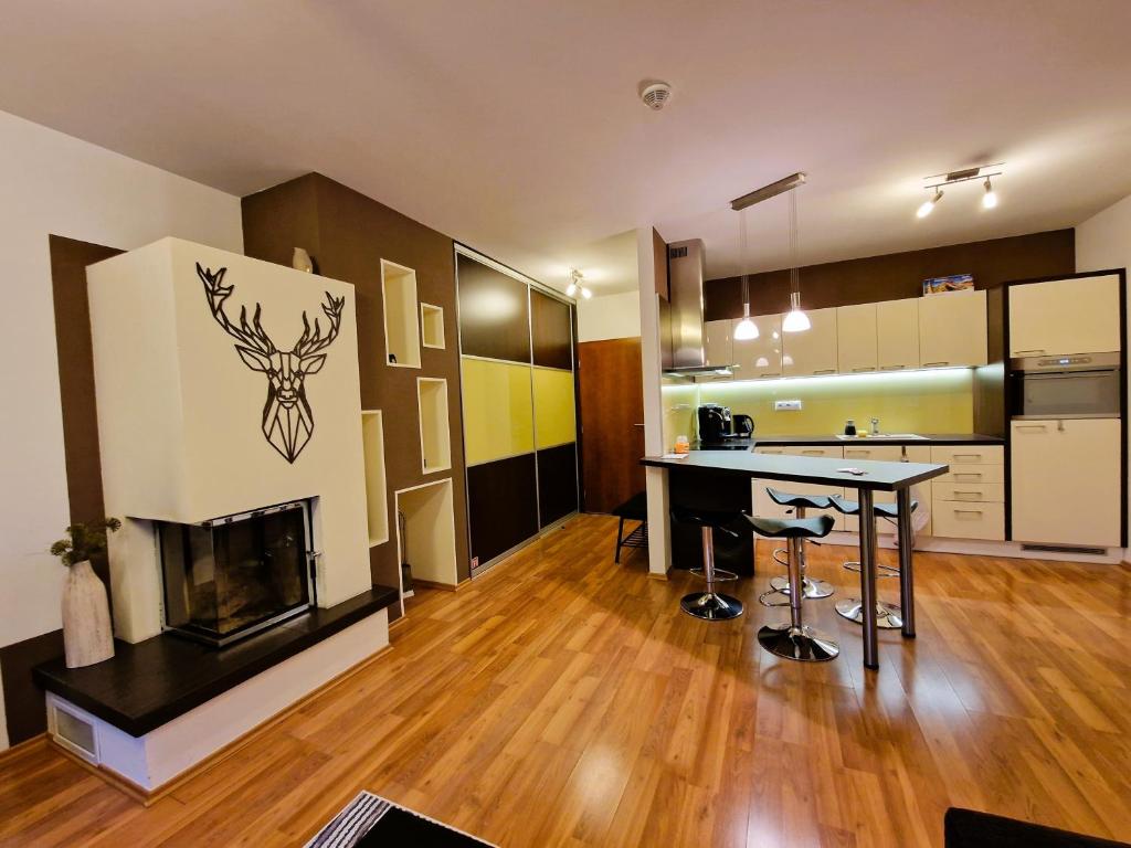 Kuchyň nebo kuchyňský kout v ubytování Dream Apartments No.202 - Right in the heart of Tále