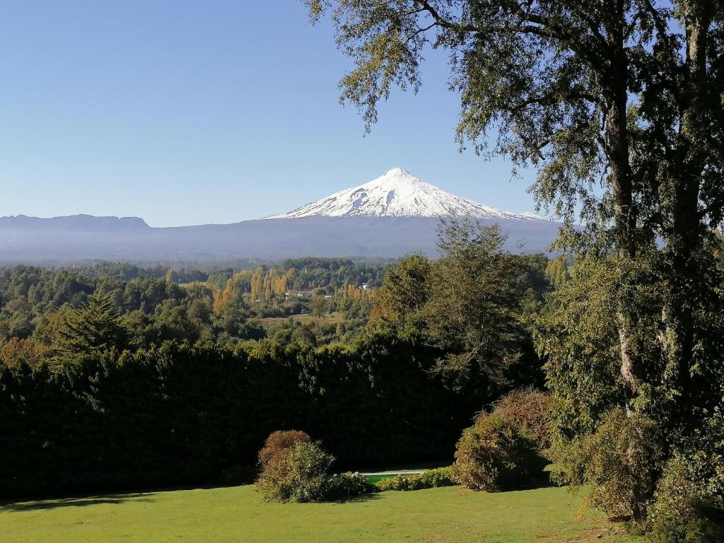 une montagne enneigée au loin avec un arbre dans l'établissement Cabaña para 5 personas, Villarrica-Pucón con vista privilegiada ., à Villarrica