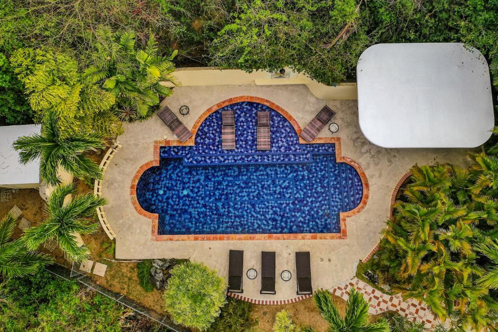 an overhead view of a swimming pool at a resort at Las Terrazas Los Chivos in Vieques
