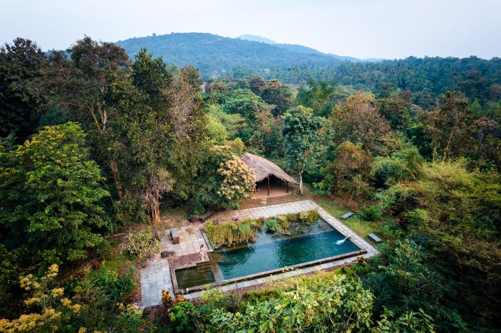 una vista aérea de una piscina en un bosque en Dudhsagar Plantation, en Cormonem