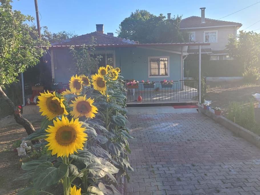 Gallery image of in the village, with a garden, one floor. Detached in Silivri