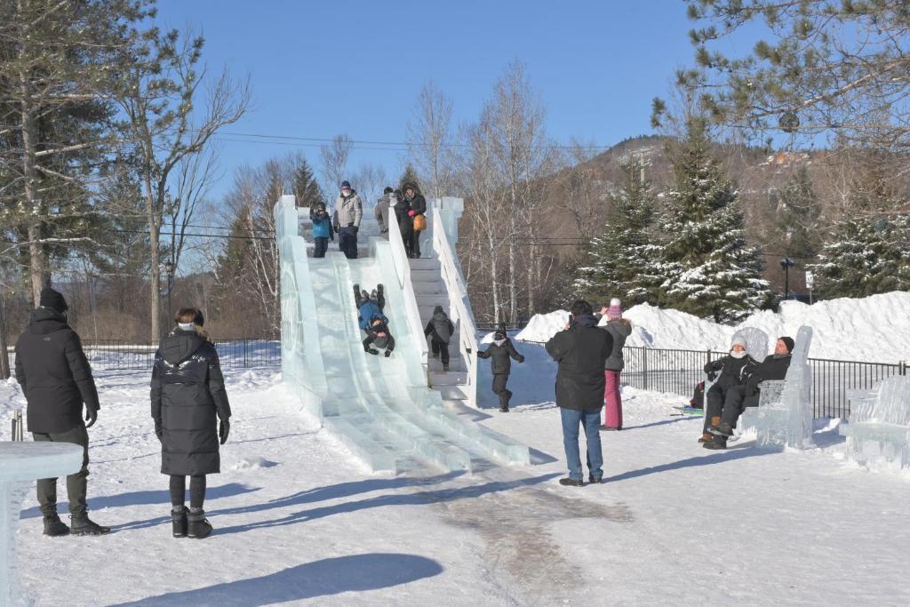 Rental condo Tremblant-les-Eaux v zimě