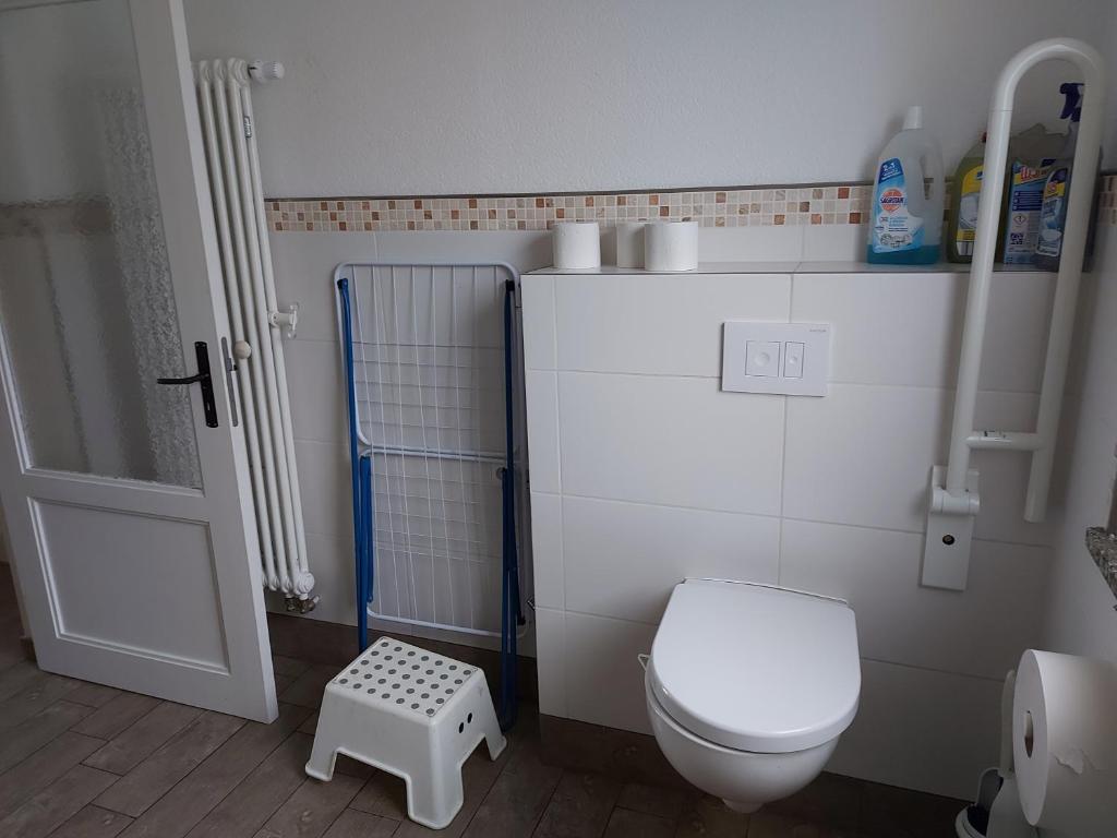 a bathroom with a white toilet and a shower at Ferienwohnung-Havelsee in Hohenferchesar