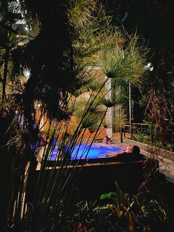 Bazén v ubytování Gulupa Ecolodge nebo v jeho okolí