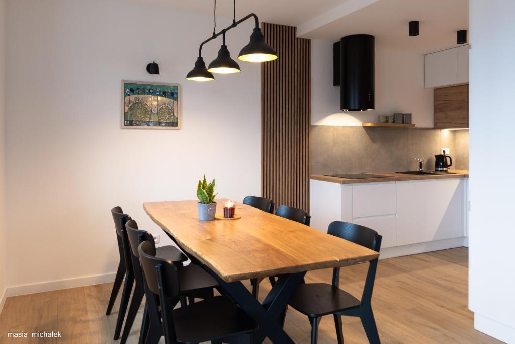 Kuchnia lub aneks kuchenny w obiekcie DAJ SOBIE CZAS Apartament