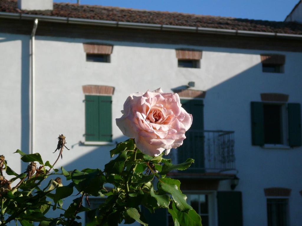 Fotografie z fotogalerie ubytování B&B Corte Bertoia v destinaci San Benedetto Po