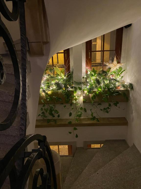 Fotografie z fotogalerie ubytování Arte-locum Apartamenty przy Rynku ve Vratislavi