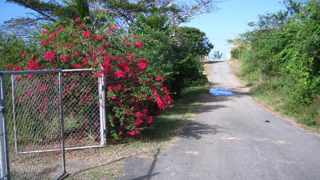 Fotografie z fotogalerie ubytování Tranquility by the Sea v destinaci Vieques