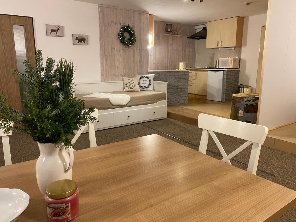 Kuchyň nebo kuchyňský kout v ubytování Apartmany Silver