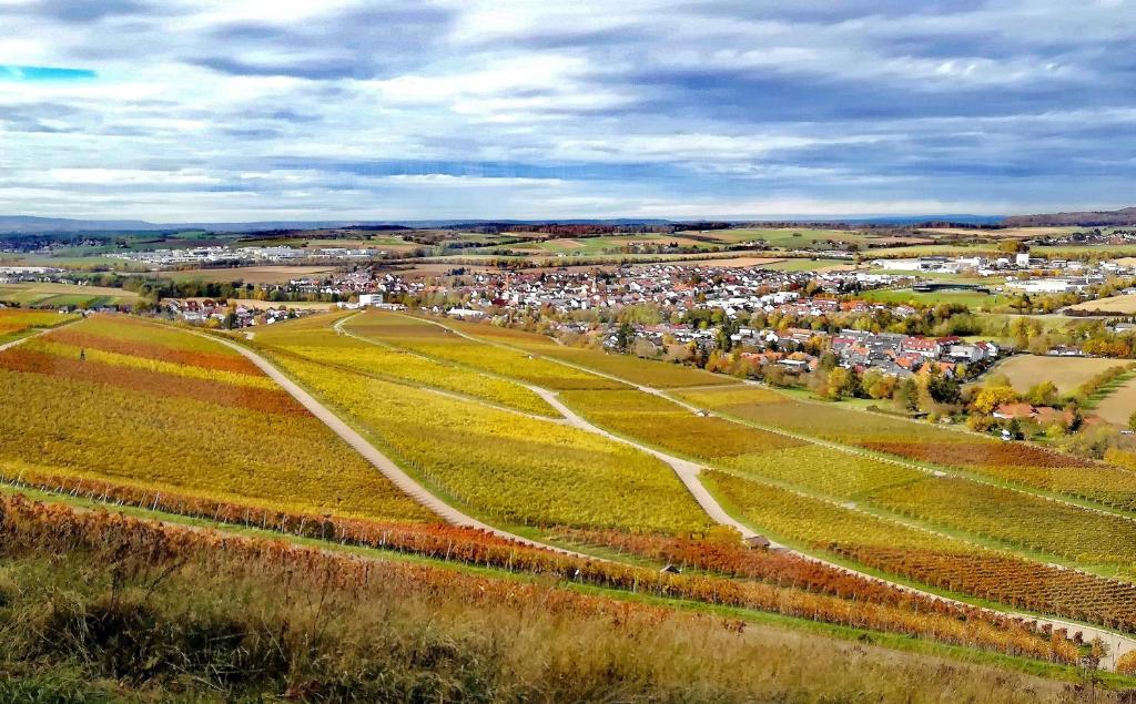 an aerial view of a town in a field at Apartment mit Terrasse in Abstatt in Abstatt