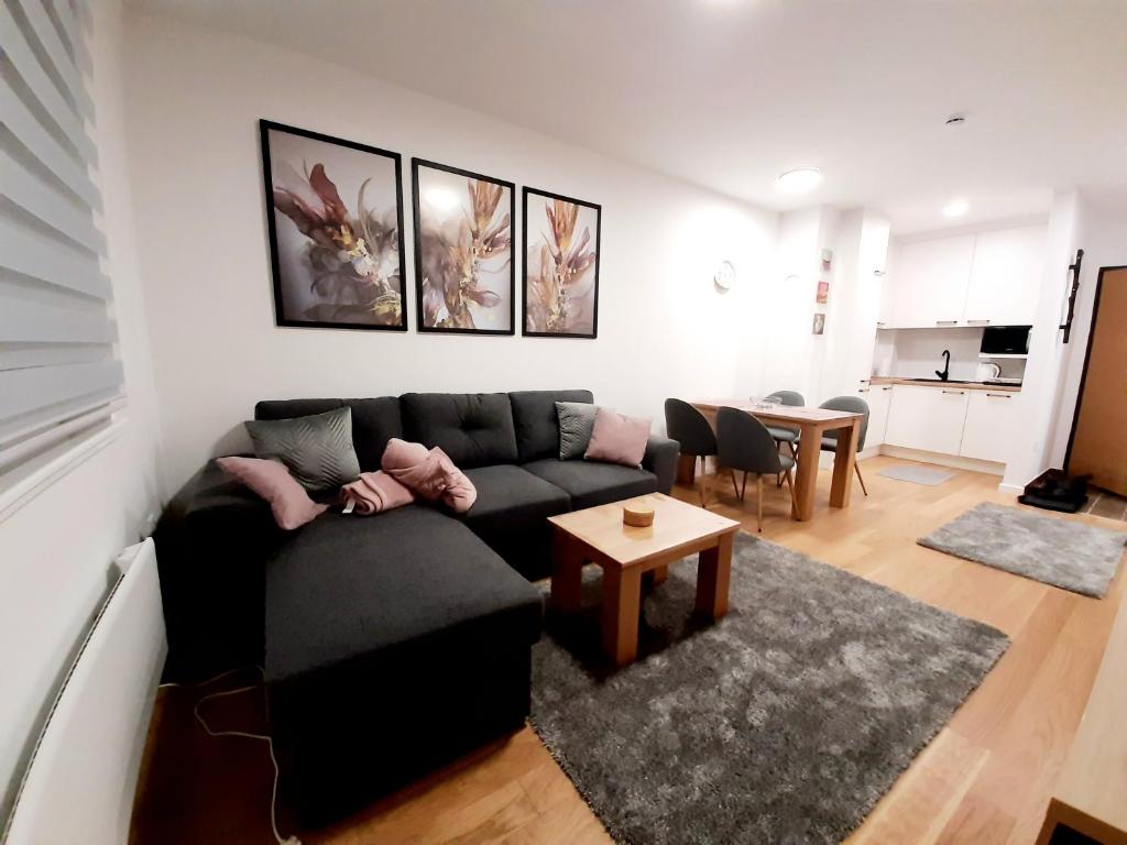 ヤホリナにあるApartman Winter magic Snježna dolinaのソファとテーブルのあるリビングルーム