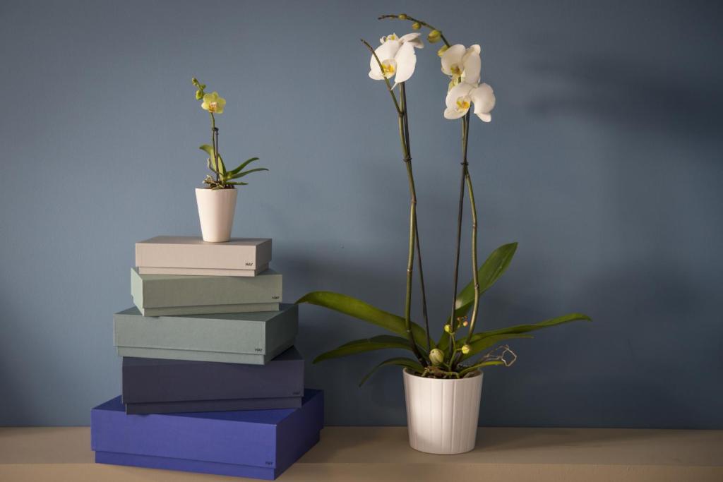 Residence Milano Bicocca - Resim 39