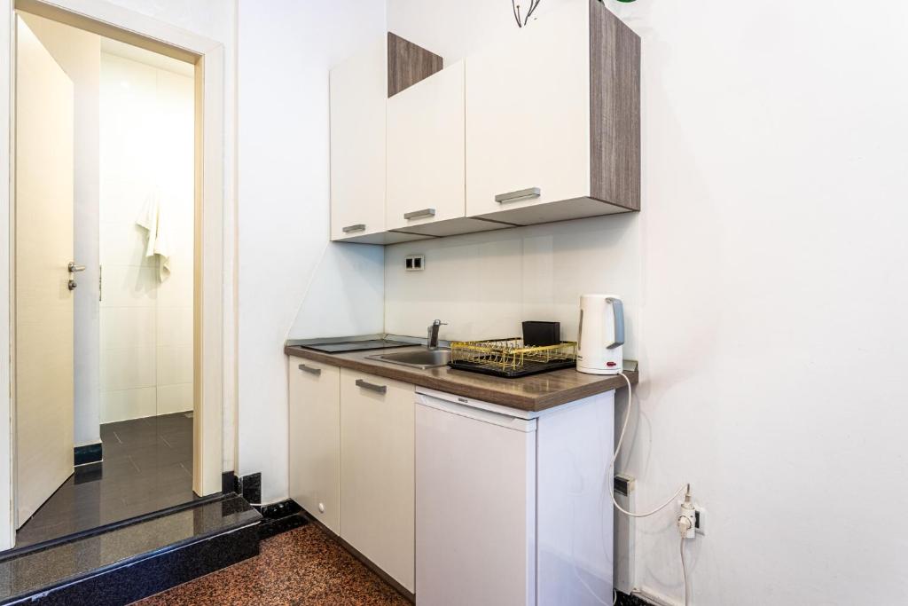 Kuchyňa alebo kuchynka v ubytovaní Studio apartment Negi