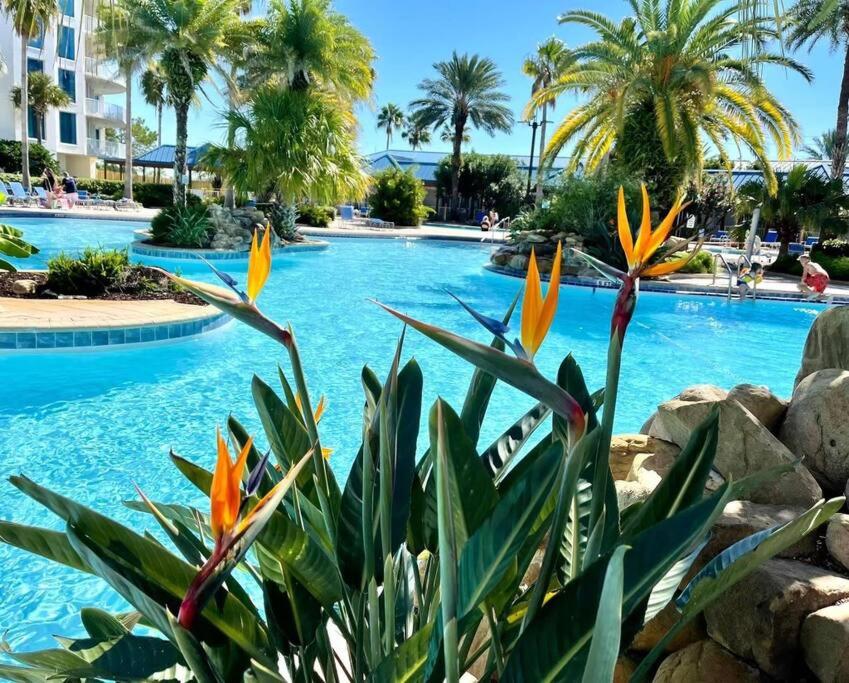 The Palms of Destin Resort, USA