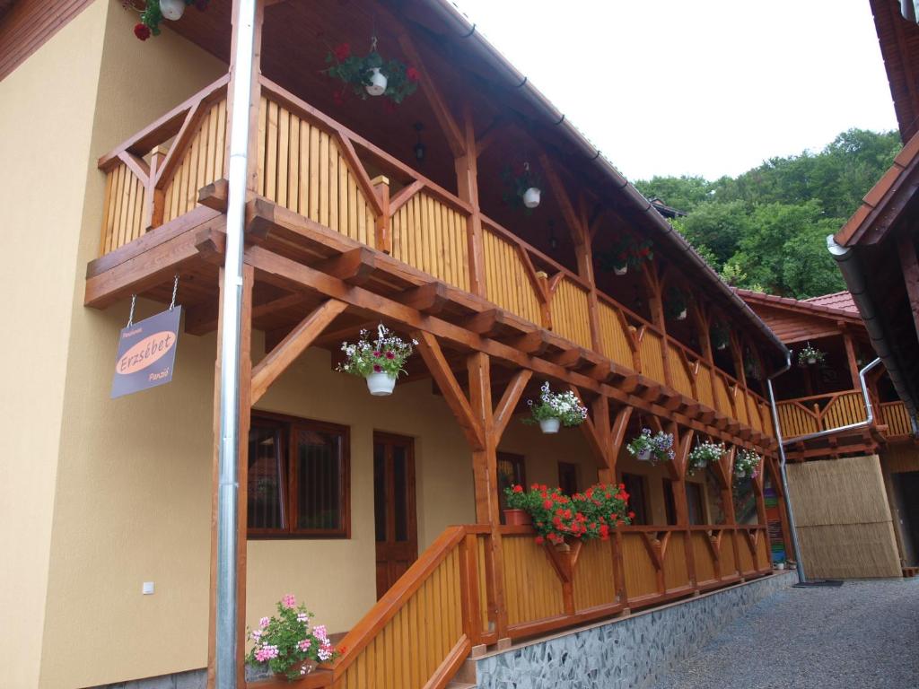 a building with potted plants on the side of it at Pensiunea Elisabeta in Sovata