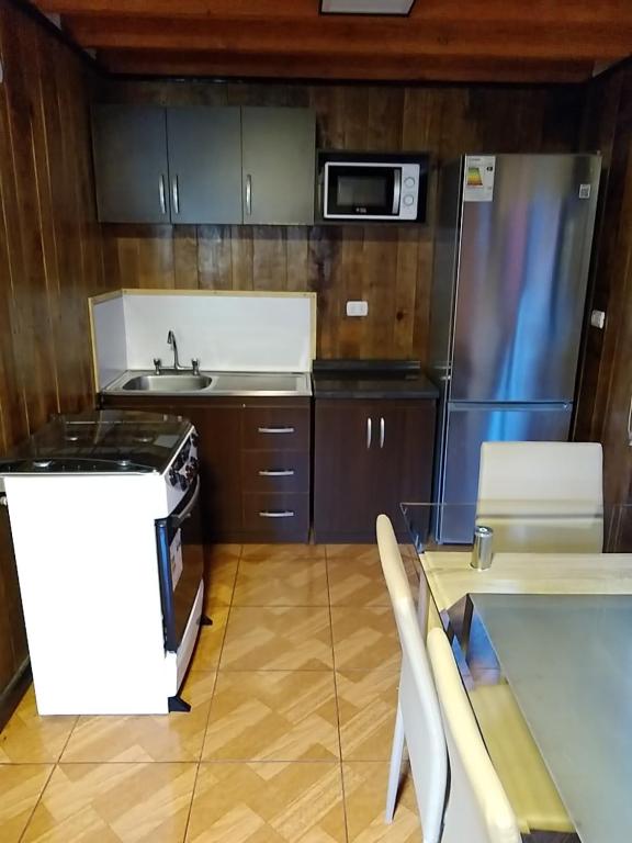 a kitchen with a stove and a sink and a refrigerator at CABAÑAS _EL NATIVO in Choshuenco