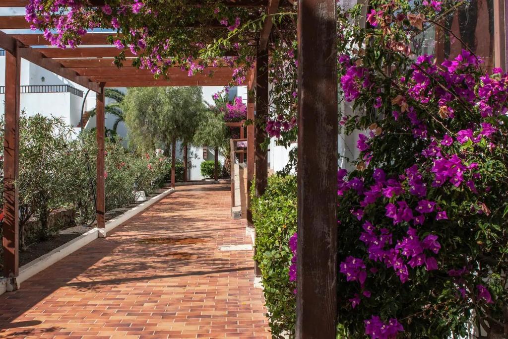 a brick walkway with purple flowers on the side of a building at Teguisol 258, Apt. with terrace, near the beach in Costa Teguise