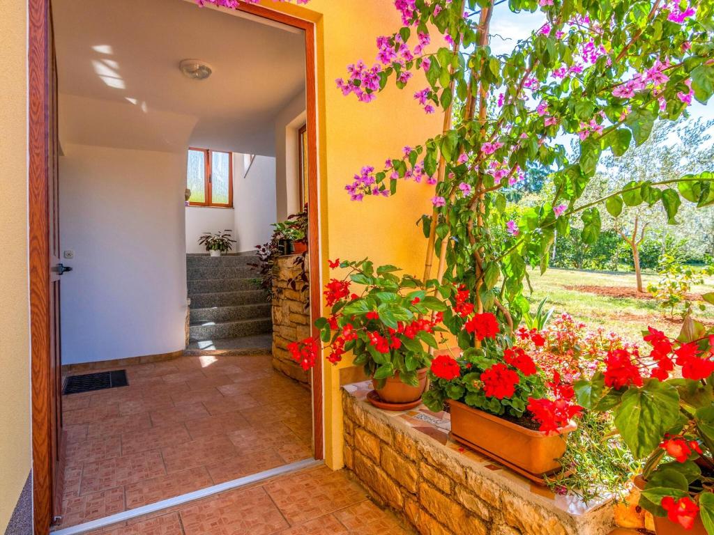 Zahrada ubytování Cozy Apartment Stay in Porec