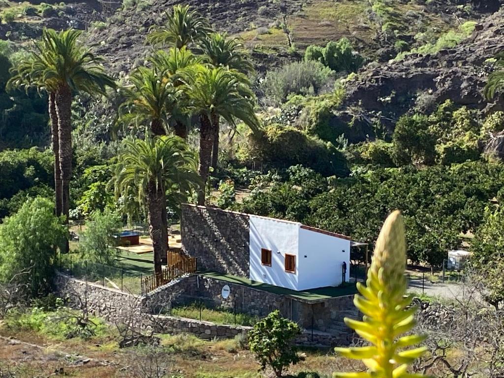 Finca Aquilino y Carmen - Apartamento De Una Habitación