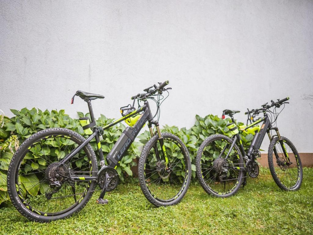 Jazda na bicykli v okolí ubytovania Holiday Home Boltar