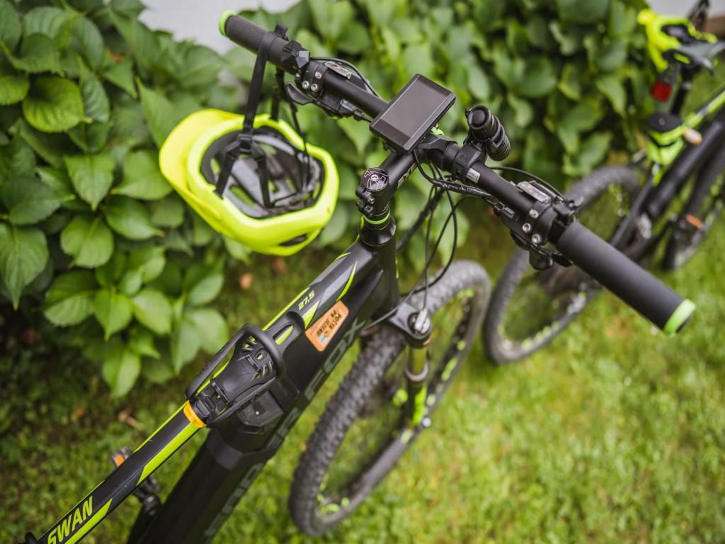 Jazda na bicykli v okolí ubytovania Holiday Home Boltar