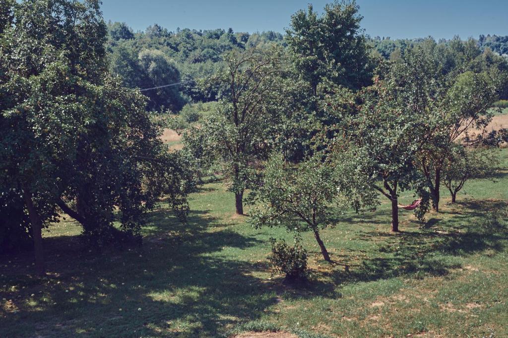 Príroda v okolí apartmánu