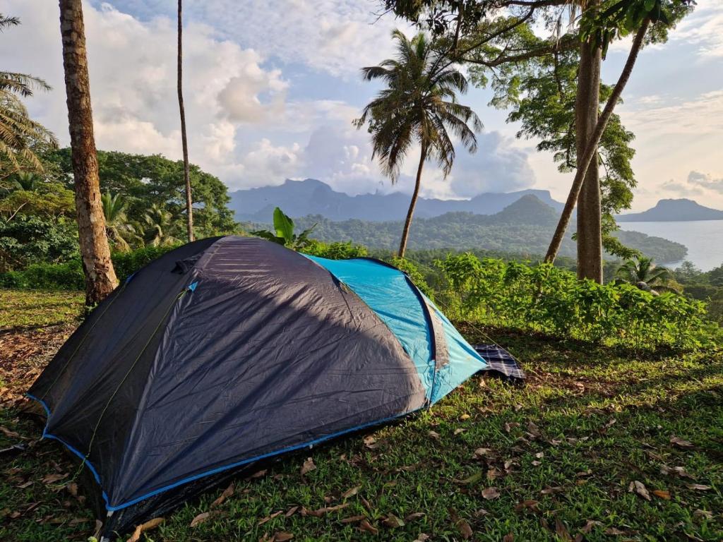 a tent sitting on the grass next to palm trees at World's View Wild Camping Salaszoi, Principe Island in Santo António