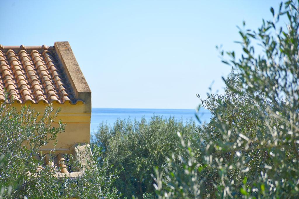 Príroda v okolí apartmánu