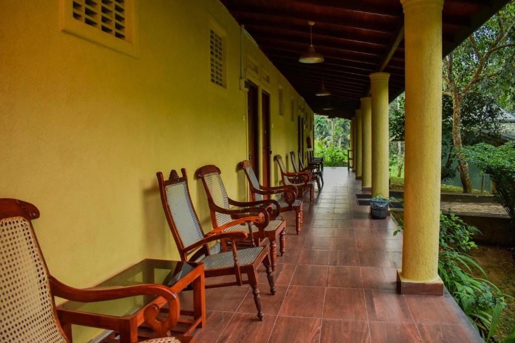 Zahrada ubytování Blue Magpie Lodge Sinharaja